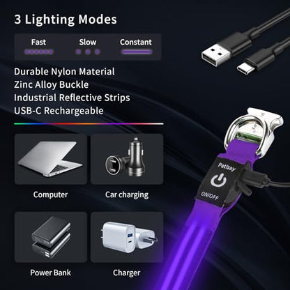 LED Dog Collar with Metal Buckle - USB Rechargeable Glow Collar for Dogs, Waterproof Light Up Dog Collar w/Reflective Strips - Adjustable Night Safety Collars by PetIsay(Purple, Small) - color: Purple(Fiber optic version), size: Small (11" - 15½ ")