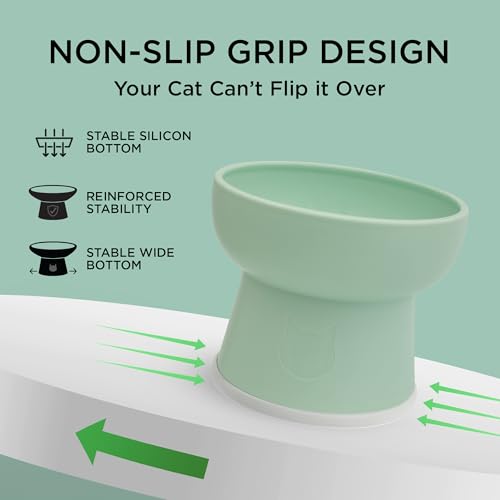 Necoichi 2pcs Elevated Cat Water Bowls with Measurement – BPA-Free Plastic Raised Bowls to Reduce Whisker & Neck Fatigue – Dishwasher Safe – Non-Slip, Anti-Vomiting (Ocean Mist) - color: Blue Green and Green (Ocean Mist)