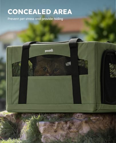 Pecute Cat Carrier Stable, Pet Carrier with Hidden Anxiety Relief Partition & Stable Steel Frame, Safe Cat Carrier for Car Travel, Soft-Sided Dog/Cat Carrier Bag for Pets Up to 11lbs, Green - color: Green Regular