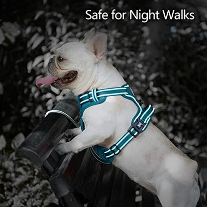 PoyPet No Pull Dog Harness, No Choke Reflective Dog Vest, Adjustable Pet Harnesses with Easy Control Padded Handle for Small Medium Large Dogs(Tumalo Teal,XS) - color: Tumalo Teal, size: XS