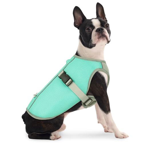 FUAMEY Cooling Jacket for Dogs Hot Weather, Breathable Cooling Vest for Walking Dogs, Mesh Summer Doggies Vest with Buckle and Adjustable Fit, Green, S - color: Seafoam Green, size: Small