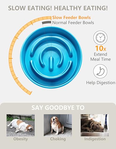 Ceramic Slow Feeder Dog Bowls, 2.0 Cups Slow Feeder for Medium Dogs, Puzzle Maze Bowl to Slow Down Eating, 30oz, 8in, Blue - color: Blue, size: 8 Inches