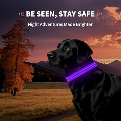 LED Dog Collar with Metal Buckle - USB Rechargeable Glow Collar for Dogs, Waterproof Light Up Dog Collar w/Reflective Strips - Adjustable Night Safety Collars by PetIsay(Purple,Medium) - color: Purple(Fiber optic version), size: Medium (14½ " - 19½ " )
