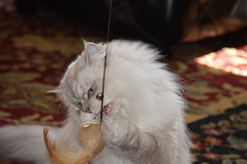 Cat Kitten Teaser Wand Toys, Sisal with Mouse, Bell, Feather, Elastic String, Sturdy Wood Stick, Interactive Fun, Cat Catcher Mice for Pet, Set of 3
