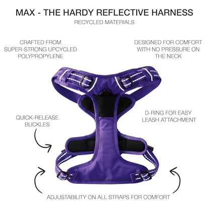 Pet Passion MAX - THE Hardy Reflective Harness, Purple, X-Small - color: PURPLE, size: X-Small (5-12 lbs)