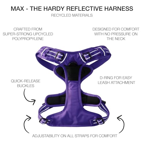 Pet Passion MAX - THE Hardy Reflective Harness, Purple, Small - color: PURPLE, size: Small (10-25 lbs)