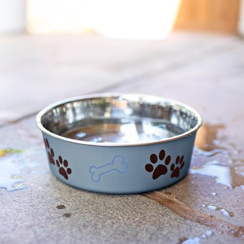 Loving Pets Bella Dog Bowls - Stainless Steel Dog & Cat Bowls - Spill Proof Dog Food Bowl, Cat Bowl, Puppy Essentials & Pet Supplies Great for Home & Travel (Small 10-20 lbs, Blueberry) - color: Blueberry, size: Small (10-20lbs)