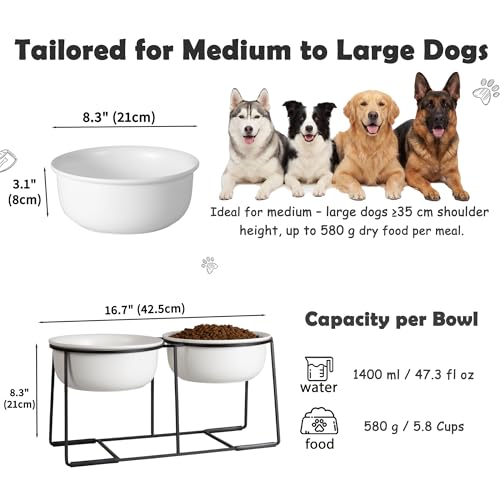 Ceramic Elevated Dog Bowl Set - Raised Double Feeding Bowls with Metal Stand - Pet Dishes for Medium and Large Dogs - 5.8 Cups - 47.3 fl oz - Matte White - color: Matte White, size: XL-800ml