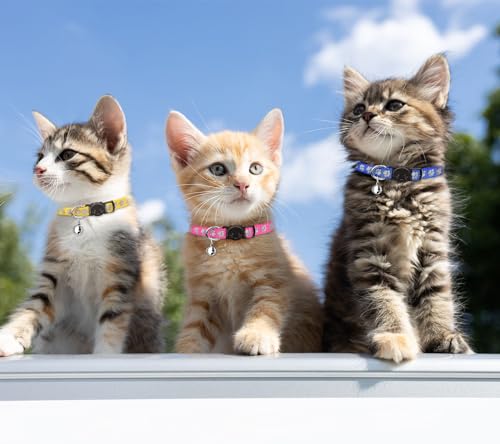 16 PCS Breakaway Cat Collars with Bells Reflective Cat Collar Safety Nylon Kitten Collars Cat Collars for Girl Boy Cats(6"-9") - size: Kittens(6" - 9")