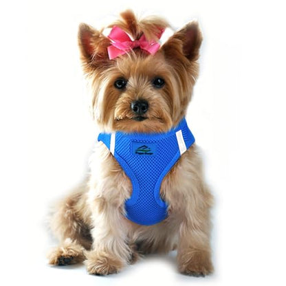 Doggie Design Dog Harness - No Choke Dog Harness, Dog Vest, Mesh Polyester, Pet Harness, Simple Step in and Go Design, Harness for Dog - Cobalt Blue, XS - color: Cobalt Blue, size: X-Small