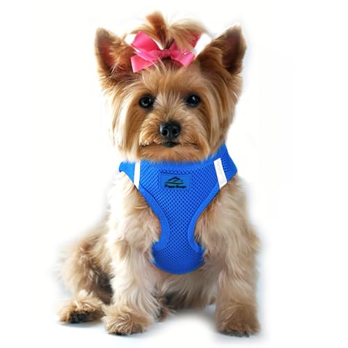 Doggie Design Dog Harness - No Choke Dog Harness, Dog Vest, Mesh Polyester, Pet Harness, Simple Step in and Go Design, Harness for Dog - Cobalt Blue, XS - color: Cobalt Blue, size: X-Small
