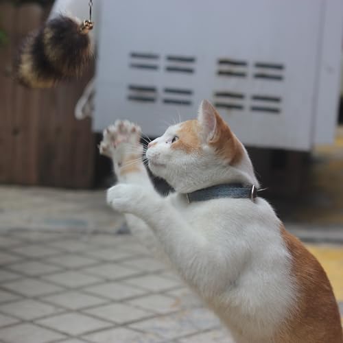 Fosrion Real Raccoon Tail Fur Cat Bites Toy with Three Section Retractable Carbon Fiber Rod (Raccoon, Tail & Fishing Rod) - color: Raccoon