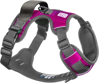 Embark Adventure No-Pull Small Dog Harness – Reflective Trim, Military-Grade Nylon, Front Clip with Gel-Lined Handle - color: Pink, size: S