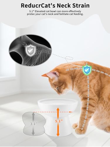 LoeJan Elevated Cat Food and Water Bowls Set, Extra Wide and Raised Ceramic Bowls, Anti-Vomit Whisker-Free Pressure Cat Feeder for Kittens to Adult Cats and Small Dogs (White, Water Bowl) - color: White, size: Single (Water Bowl)