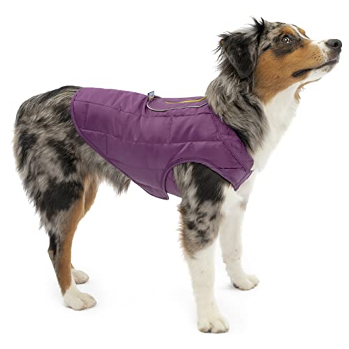 Kurgo Loft Dog Jacket - Reversible Cozy Coat for Outdoor Adventures - Water Resistant - Athletic Fit - Machine Washable Fabric - Reflective Dog Gear - Small - Deep Violet - color: Deep Violet/Charcoal, size: Small
