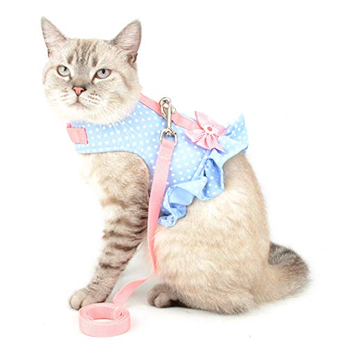 Zunea No Pull Small Dog Girl Harness Dress Escape Proof Cat Kitten Vest Harness Leash Set Step-in Soft Cotton Padded Polka Dot Jacket Chihuahua Puppy Clothes with Cute Bow for Walking Blue M - color: blue dots, size: M (Chest:16.9-17.7", Neck:10.6-11.4")
