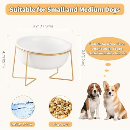 White Large Ceramic Tilted Elevated Cat Dog Bowl Raised Cat Food Water Bowl Dish Pet Comfort Feeding Bowls with Gold Iron Stand - color: White, size: Large
