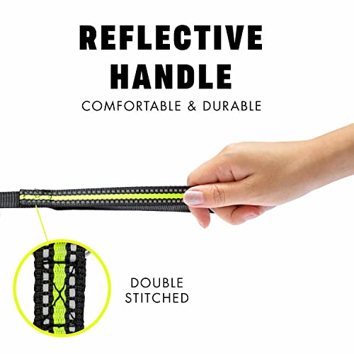 Downtown Pet Supply - Long Dog Leash - Dog Training Leash - Recall & Obedience Dog Training Tools - Nylon - 50 ft - Reflective Black Dog Leash - size: 50 Foot
