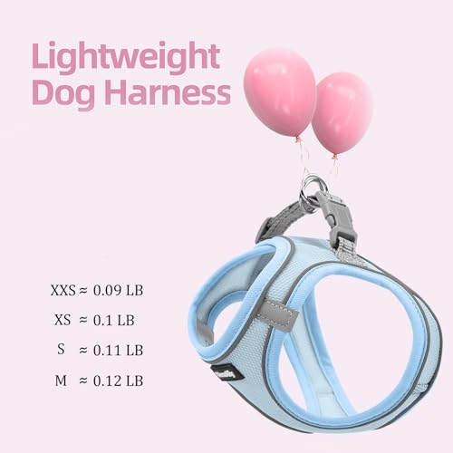 Sparkly Dog Harness Small Sized and Leash Set for Small Dogs Cats,Blue S Puppy Harness, Step in Soft Dog Reflective Vest, Breathable Mesh Pet Harness. (Blue, M) - color: Blue, size: M