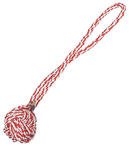Zanies Poly/Cotton 15-Inch Monkeys Fist Knot Rope Dog Toy - size: 15 in