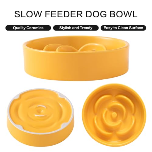 6'' Ceramic Slow Feeder Dog Bowls - Petal Shape Modern Dog Food Dish for Cats and Small Breed Dogs, Puzzle Maze Bowl to Slow Down Eating, Anti-Gulping, Dishwasher & Microwave Safe, Yellow - color: Yellow, size: 6 inch