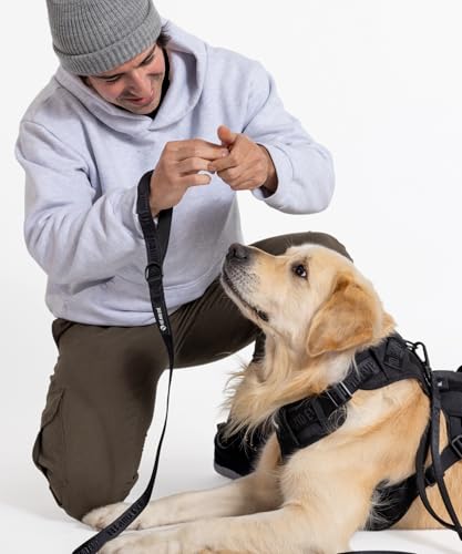 2026 New Edition, Fei & Eve Classic Dog Harness - Quick-Release Buckles | 3-Point No-Pull Control | Heavy-Duty 900D Nylon | Dual Safety Handles | Breathable Mesh | Adjustable Fit | Large,Black - color: Black, size: L
