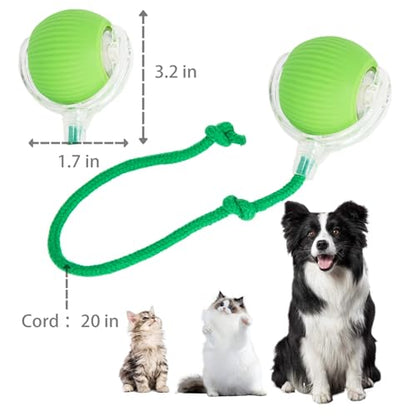 KumCinn Interactive Dog Ball for Small Medium Dogs, Automatic Self Moving Cat Toys Ball for Indoor Cats, 360° Rolling Electric Pet Ball, Fast Smart Motion Activated Toy (Green) - color: Green