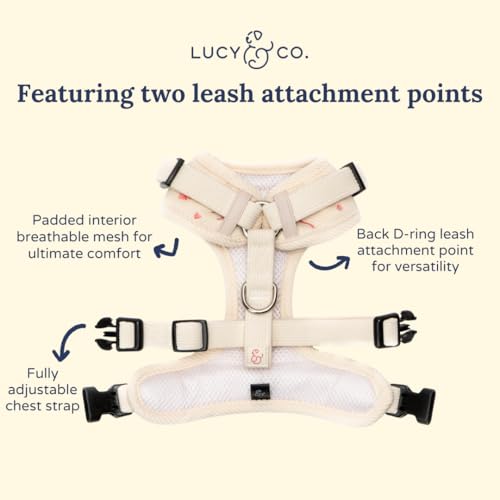 Lucy & Co. Ever So Sweet No-Pull Dog Harness, Adjustable Front Clip Harness with Comfort Padding, Small - color: Ever So Sweet, size: Small