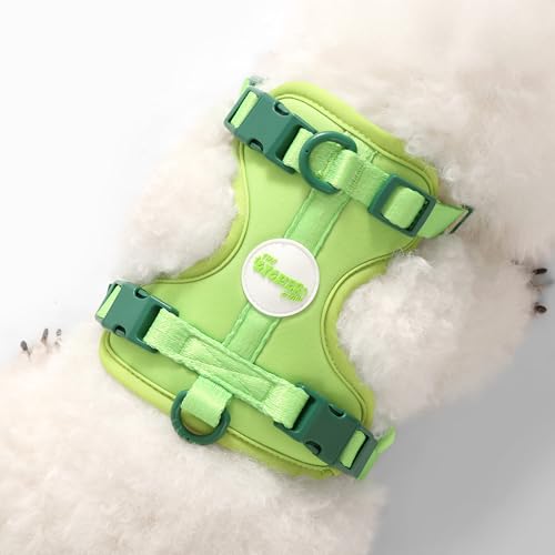 HNS1000B Arlo Extra Small Adjustable Soft Padded No Pull Pet Harness with 3 Buckles and 3 Leash Clips, Mojito - color: Light Green, size: X-Small (Chest: 11.8 - 17")
