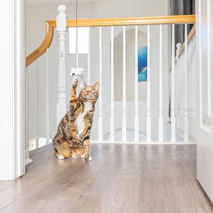 SPOT A-Door-Able Bouncing Mouse Cat Toy - Hanging Rattle & Catnip Interactive Toy, Entertain Cats for Hours, Indulge Natural Hunting Instincts, Provide Mental Stimulation, Suspend From Any Door Frame