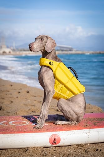 NOAH & PAW Dog Life Jacket, Human Standards Lifejacket Design, Dog Life Vest for Swimming and Boating, 3X Foam Support for Max Floating, Breathable Mesh, Salvavidas para Perros, Size M - size: M