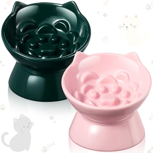 Funnymoom 2 Pcs Ceramic Raised Slow Feeder Cat Bowl, 5.91inch Elevated Cat Slow Feeder Bowl Tilted Anti Vomiting for Dry Wet Food and Water Easy to Clean High Edge(Dark Green, Pink) - color: Dark Green, Pink