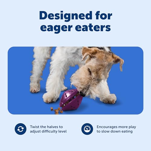 PetSafe Busy Buddy Twist 'n Treat Dispensing Dog Toy - Medium - size: Medium (Pack of 1)