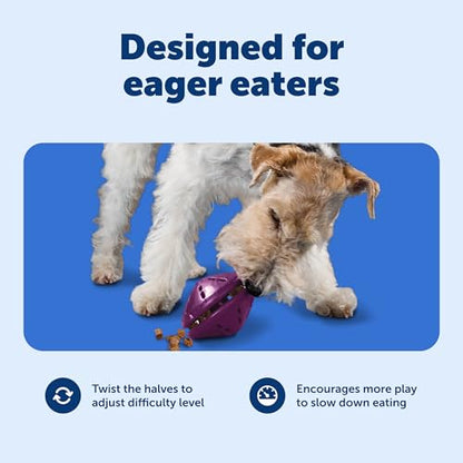 PetSafe Busy Buddy Twist 'n Treat Dispensing Dog Toy - Medium - size: Medium (Pack of 1)