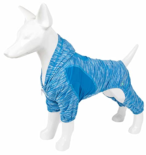 Pet Life ® 'Ultra-Lock' Collapsible Safety Travel Wire Folding Pet Carseat or Dog Car Seat Carrier with Side Pockets - color: Blue