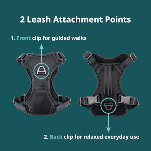 CANAGAN Premium Vegan Leather Dog Harness – Adjustable No Pull Vest for Extra Large Dogs, Heavy Duty, Durable Zinc Alloy Buckles, Dual Leash Clips & Handle – Daily Walks & Outdoor Use – Black - size: XL: Chest(27" - 38")