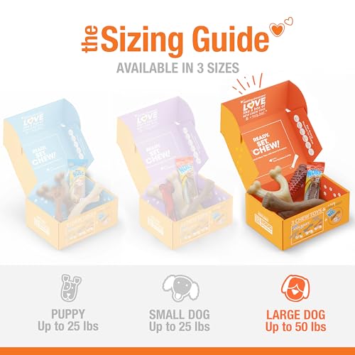 Nylabone Dog Gift Box, Includes 3 Strong Chew Toys and 1 Natural Treat, Gifts for Dogs, Large - Up to 50 lbs, 4 Pack - size: Large (4 Count)