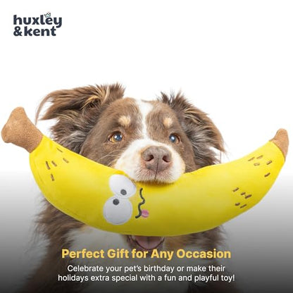 Huxley & Kent Funny Dog Toy w/Squeaker – Power Plush Squeaky Dog Toys for Small, Medium & Large Dogs – Soft Stuffed Animal for Indoor Play & Fetch - Fetchies® Bruiser Banana, Small - size: Small, style: Brusier Banana