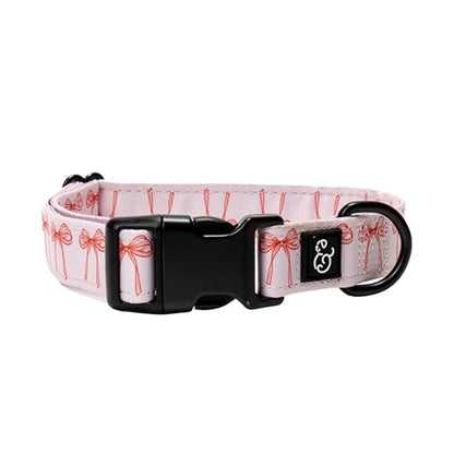 Lucy & Co. Ballet Bows Dog Collar - Durable Lightweight Designer Collar for Pets - Adjustable Metal Safety Buckle - White & Pink Bows - Small - color: Ballet Bows Dog Collar, size: Small