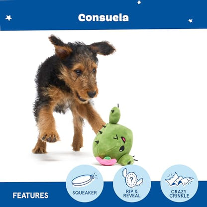 Barkbox 2 in 1 Interactive Plush Dog Toy - Rip and Reveal Toy for Dogs and Puppies - Stimulating Squeaky Pet Toys | Consuela Cactus (Small) - color: Consuela - Small, size: Small Dog