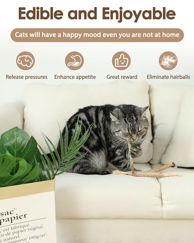 Silvervine Sticks for Cats & Cat Chew Rope - 8Pcs Natural Cat Chew Toy Teeth Cleaning for Bored Indoor Adult Cats, Matatabi Dental Care Kitten Treat Teething Toys, Silver Vine Cat Chew Stick - style: Cat Toys Silvervine Ropes