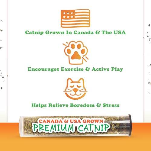 Meowijuana Jump 'n' Jamb Door Hanging Cat Toy | Chameleon | Refillable Interactive Catnip Toy | Promotes Play and Cat Health | Includes Potent Catnip Grown in North America - color: Chameleon