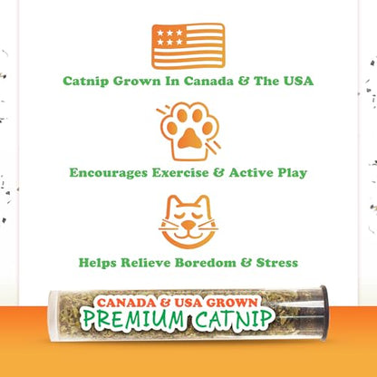 Meowijuana Jump 'n' Jamb Door Hanging Cat Toy | Chameleon | Refillable Interactive Catnip Toy | Promotes Play and Cat Health | Includes Potent Catnip Grown in North America - color: Chameleon