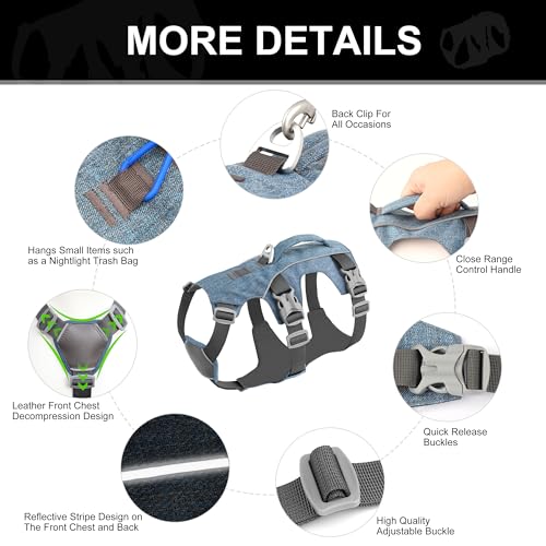 Escape Proof Dog Harness with Handle - Reflective No Pull Dog Vest, Lightweight Full Body Pet Harness Adjustable for Small Dogs Walking,Training(Blue,Chest:14-22") - color: Blue, size: XS: Chest 14-22", Fit 8-12 lbs