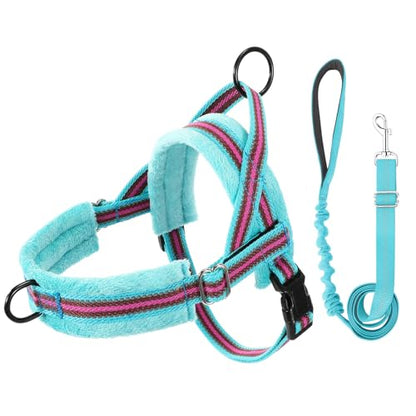 Lukovee No Pull Dog Harness and Leash Set, Soft Padded Small Dog Harness, Neck & Chest Adjustable Reflective Vest Puppy Harness with 4ft Lightweight Anti-Twist Dog Leash for Small Dogs (XS, 01-LBL) - color: Light Blue - with Stripe, size: XS ( Chest 14''
