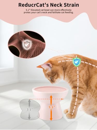 LoeJan Elevated Cat Food and Water Bowls Set, Pink - Raised Ceramic Anti-Vomit Whisker-Free Feeder for Kittens to Adult Cats - color: Pink, size: Single (Water Bowl)