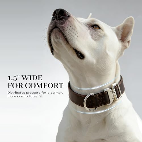 AssuredLock Leather Dog Collar, 1.5” Wide, Smooth Quick-Release Buckle with Adjustable Design, Heavy-Duty Handcrafted Collars for Large Dogs, Brown-L - color: Brown, size: 17-28.5 In