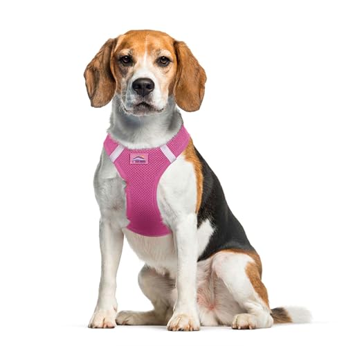 Doggie Design Dog Harness - No Choke Dog Harness, Dog Vest, Mesh Polyester, Pet Harness, Simple Step in and Go Design, Harness for Dog - Candy Pink, XL - color: Candy Pink, size: X-Large