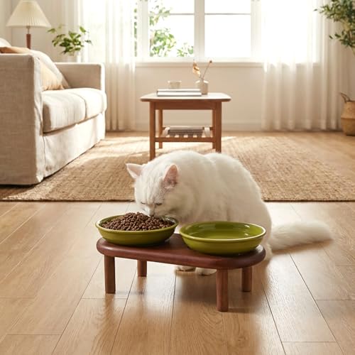 SPUNKYJUNKY Shallow Elevated Cat Bowl with Acacia Wood Stand Wide Raised Ceramic Cat Dishes Whisker Friendly Pet Food and Water Plates (Striped Pattern, Green) - color: Green