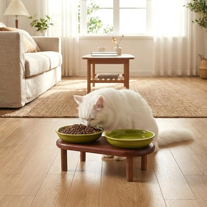 SPUNKYJUNKY Shallow Elevated Cat Bowl with Acacia Wood Stand Wide Raised Ceramic Cat Dishes Whisker Friendly Pet Food and Water Plates (Striped Pattern, Green) - color: Green